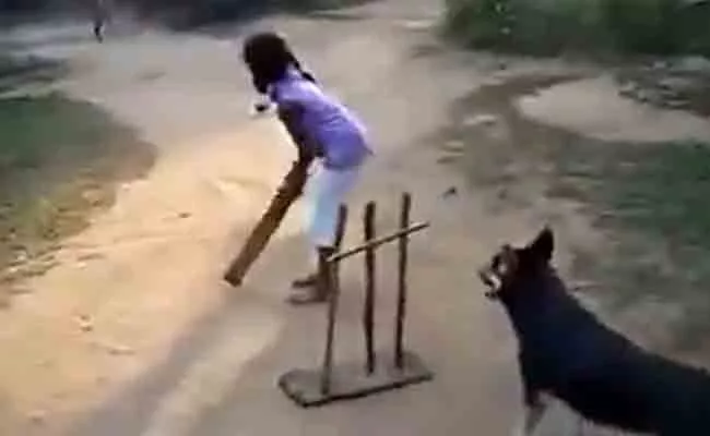 Sachin Tendulkar Shares Video Of Dog Playing Cricket With Sharp Ball Catching Skills - Sakshi