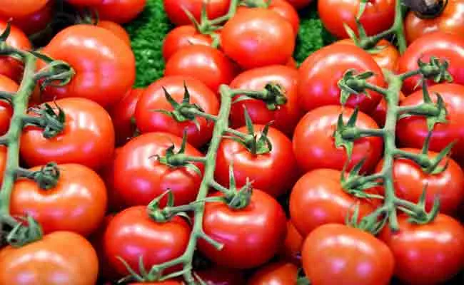 In Bengaluru, Tomato Price Reaches Rs 80 per kg Due to Rains - Sakshi