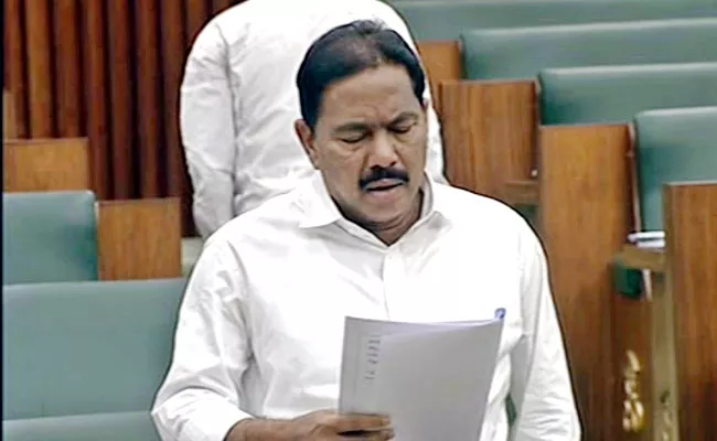 Minister Pinipe Viswarup Speech On SC Welfare In AP Assembly - Sakshi