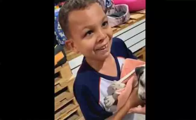 Viral video: Little Kid Gets Small Dog As Gift His reaction Is Precious - Sakshi