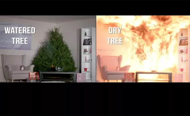 Viral Video Shows How Quickly Dry Christmas Tree Goes Up In Flames - Sakshi