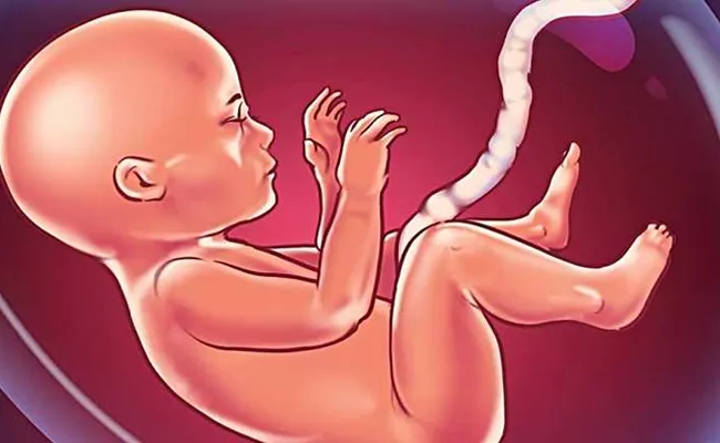 Woman Died After Eat Umbilical Cord To Get Pregnant In Guntur District - Sakshi