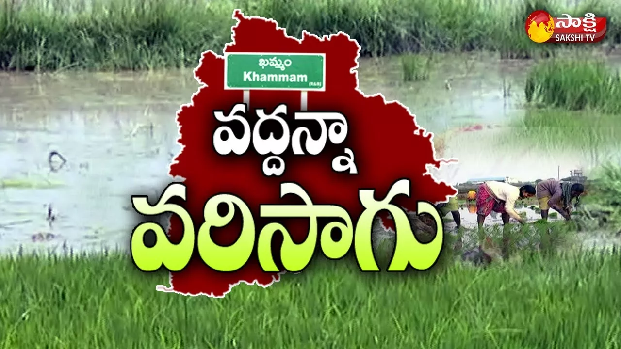 Khammam: Farmers In A Dilemma Over Alternative Crops To Paddy