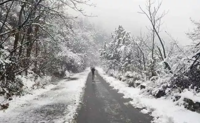 Met Dept Said That Snowfall Will Continue Till Next 12 To 18 Hours In Jammu And Kashmir - Sakshi