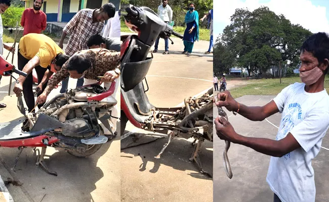 snake In Scooty Finally Mechanic Pulls Out Snake Hiding In Bike - Sakshi