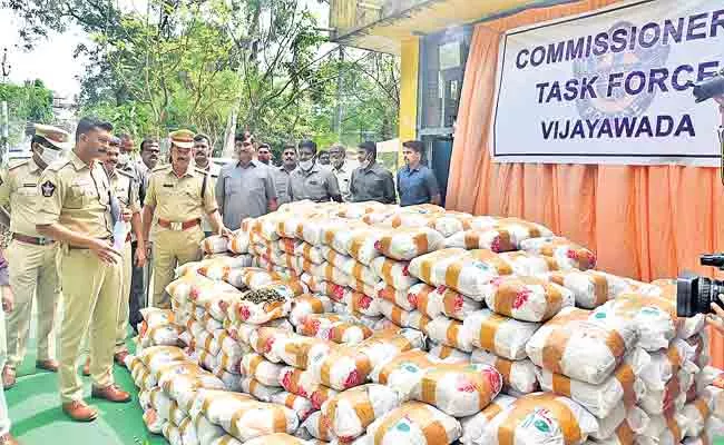 AP Government Gearing Up Crack Down Cannabis Mafia In State - Sakshi
