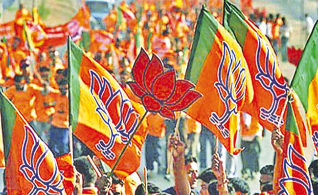 Group Politics In Vikarabad Bjp Party, Leaders Disappoints On District Leadership - Sakshi