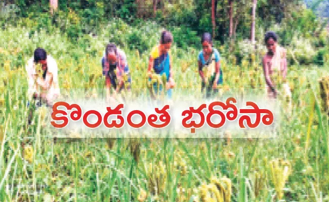 Andhra Pradesh Govt Issue Land Pattas to Tribals on Podu Lands in Rampachodavaram - Sakshi