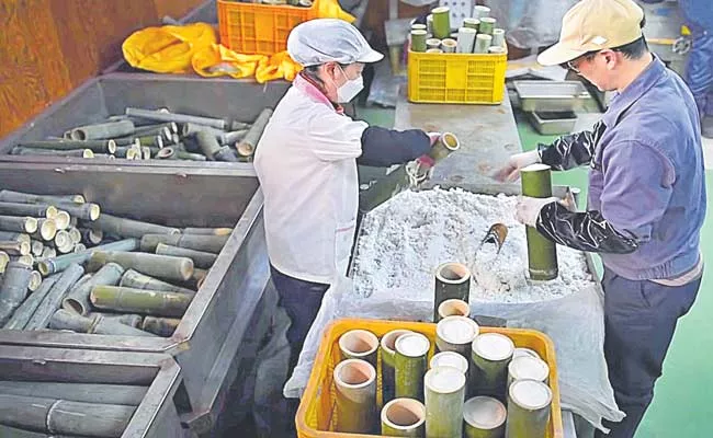 Korean Bamboo Salt: This Is What Makes It Awefully Expensive - Sakshi