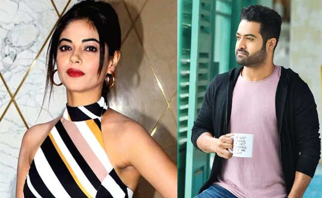 Jr Ntr Fans Counter To Meera Chopra For Indirect Post On NTR - Sakshi