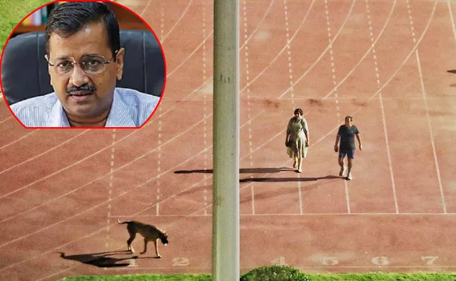 Kejriwal Key Decision After Delhi IAS Officer Stadium Dog Walk Row - Sakshi