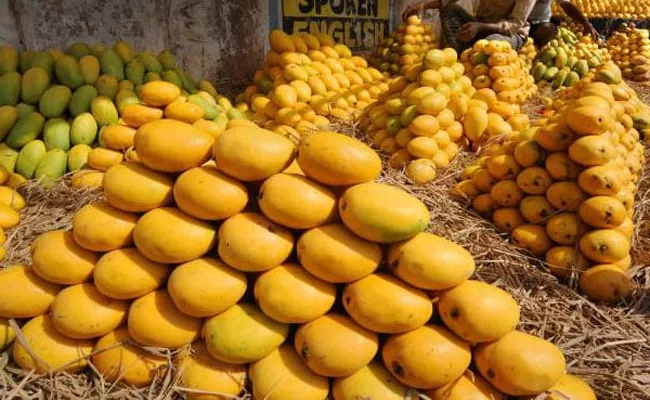 East Godavari: Tuni Famous For Mangoes Mango City - Sakshi