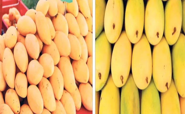 How To Identify Natural Mango Fruits - Sakshi