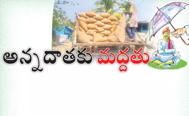 Rapid Grain Procurement In Annamayya And YSR district - Sakshi