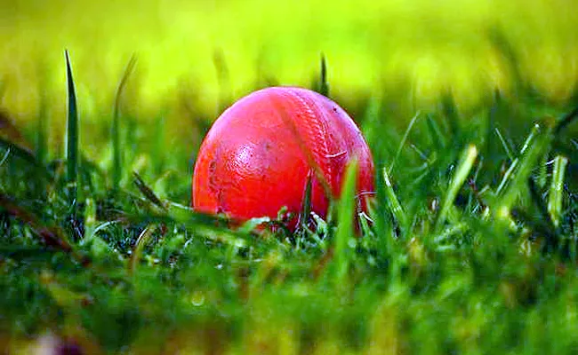Tragic Incident 22-Year-Old Dies While Playing Cricket In-Pune - Sakshi