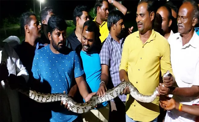 Huge Python On Fish Net At Mahabubnagar - Sakshi