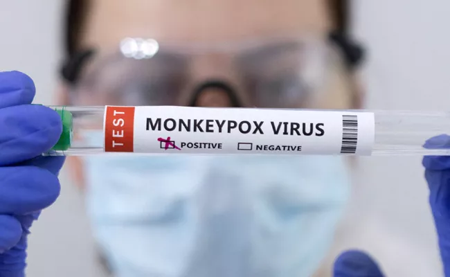 Kerala Confirms India First Monkeypox Death - Sakshi