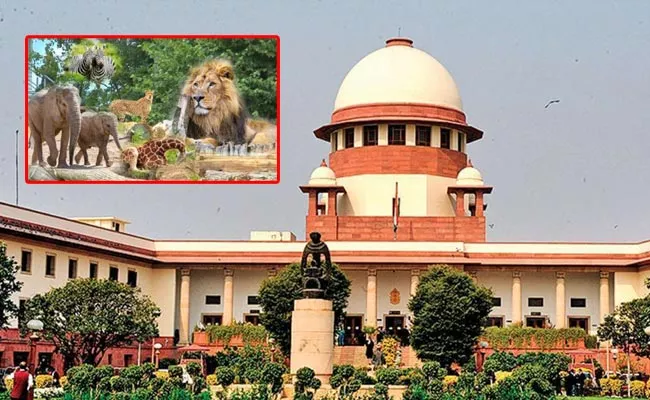 SC Dismisses PIL Against GZRRC Zoo In Gujarat Jamnagar - Sakshi