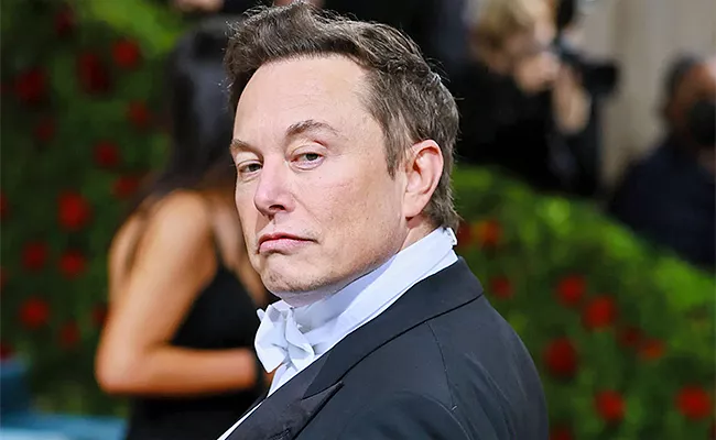 Elon Musk Ex Girlfriend Auctions Off Relationship Mementos and gifts - Sakshi
