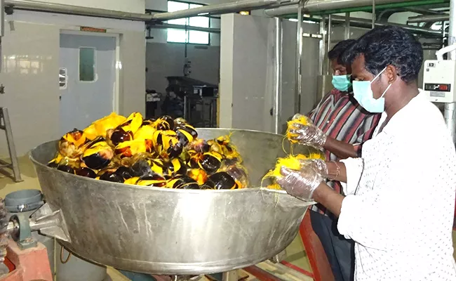 Special Story Rampachodavaram Palm Researches - Sakshi