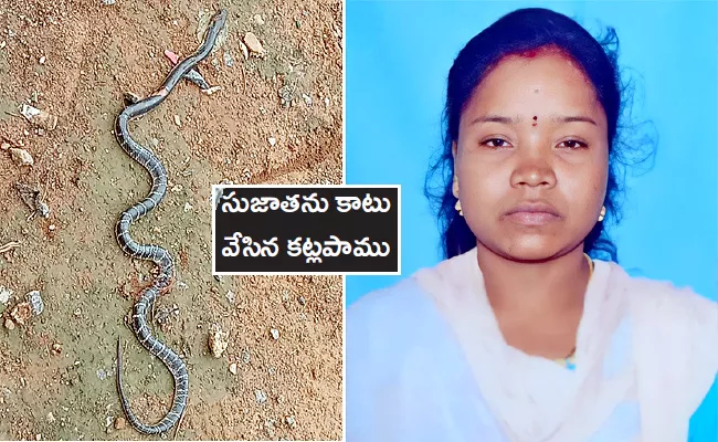 Woman Dies Of Snake Bite In Srikakulam - Sakshi
