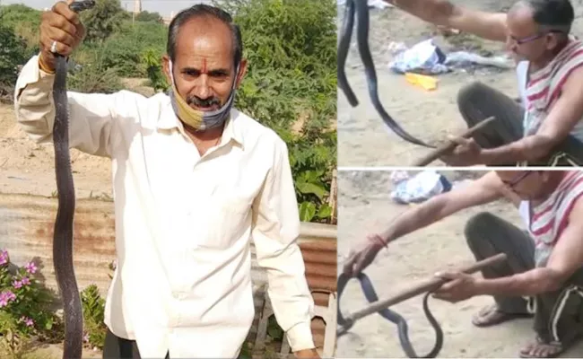 Rajasthan Snake Man Vinod Dies Minutes After Bitten By A Cobra - Sakshi