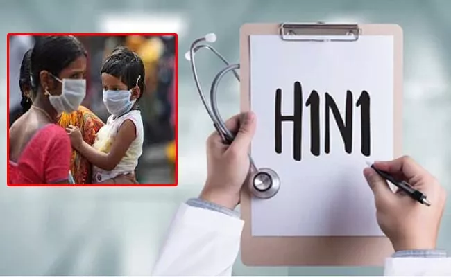 Swine Flu Positive For Girl At Mahbubnagar - Sakshi