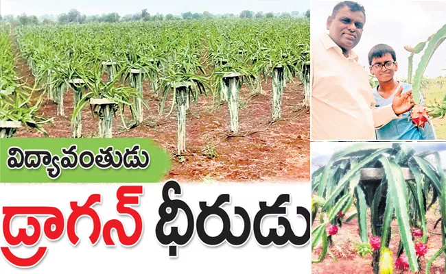 Raja Reddy Cultivating Dragon Fruit Crop After Leaving IT Job - Sakshi