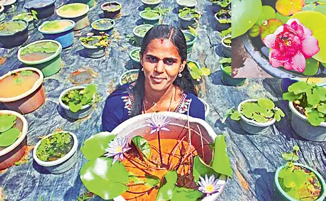 Palakkad Woman Anjali Growing Lotus In Water Tub Earns Profits - Sakshi