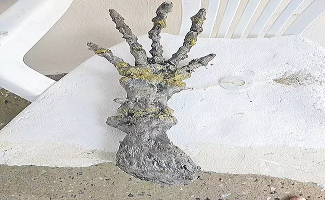 Huge skeletal alien hand found on beach in Brazil - Sakshi