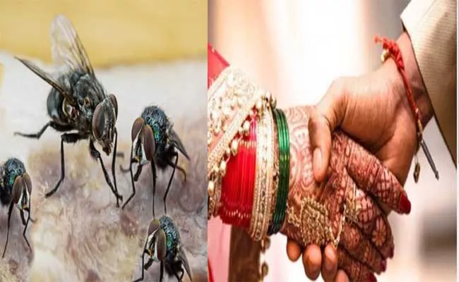 Marriages Are Not Taking Place These 10 Villages Due To Flies - Sakshi
