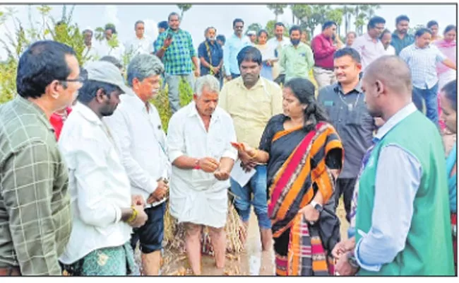 AP Government Helping Hands By Rain Affected People - Sakshi