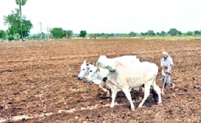 Rythu Swarajya Vedika Survey Report On Tenant Farmer In Telangana - Sakshi