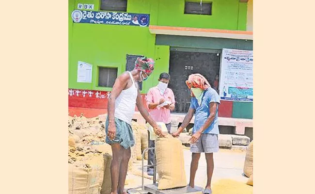 Record Purchase Of Grain In Andhra Pradesh - Sakshi
