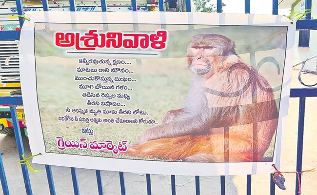 People Tribute To Monkey Died in khammam Market  - Sakshi