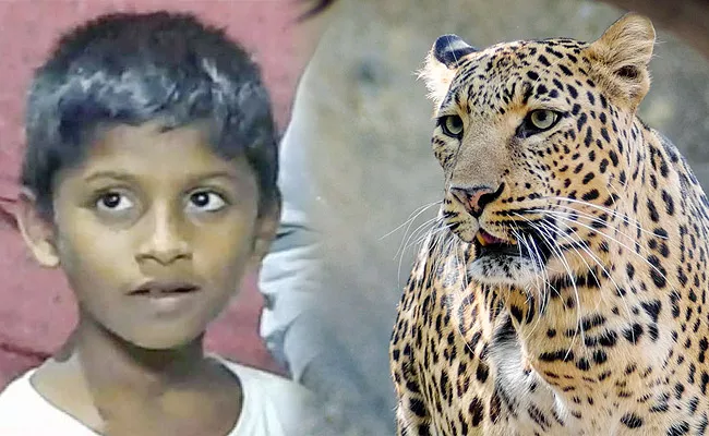 Leopard Attack And Kills 11 Year Old Boy In Mysuru Karnataka - Sakshi