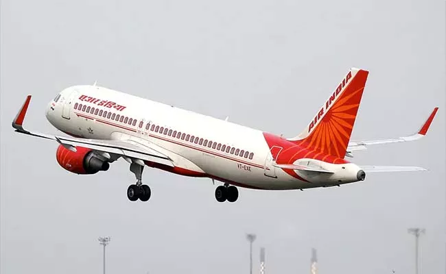 Drunk Man Urinated On Woman Passenger In Business Class Of Air India - Sakshi