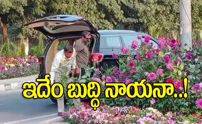 Gurugram Men Stealing Flower Pots Viral Video - Sakshi