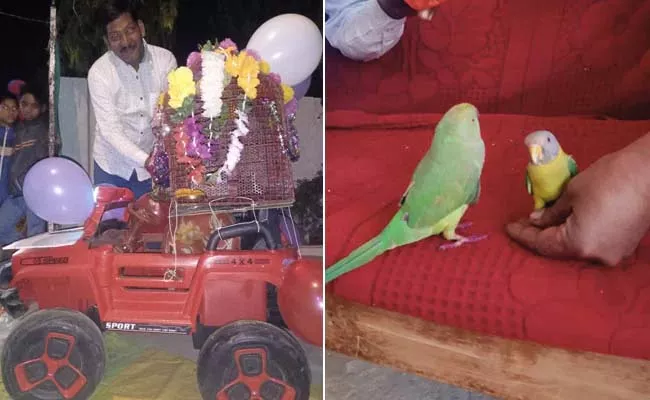 Special Marriage: Two Birds Got Married In Madhya Pradesh Goes Viral  - Sakshi