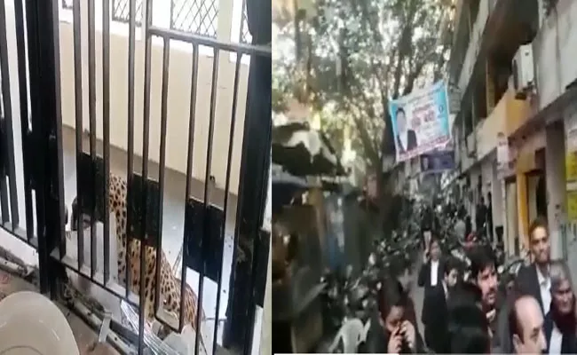 Video: Leopard Injures Several In Ghaziabad Court Caught After 4 Hours - Sakshi