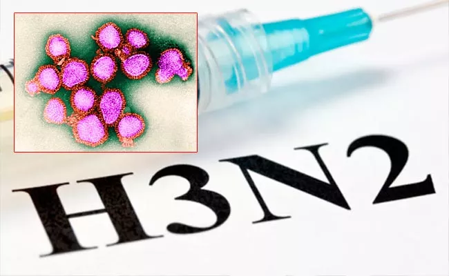 Two Persons Died Of Influenza Caused By H3N2 Virus - Sakshi