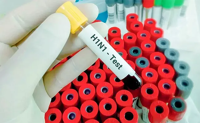Maharashtra Sees 1st H3N2 Death 352 Patients Test Positive - Sakshi