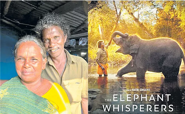 Tamil Nadu CM Stalin honours tribal couple featured in Oscar-winning The Elephant Whisperers - Sakshi