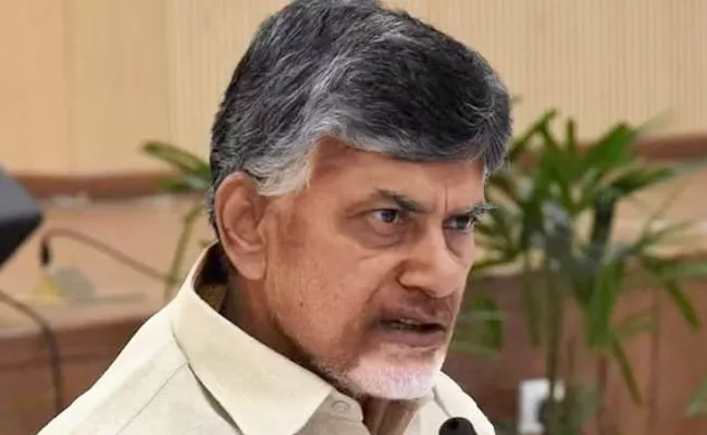 Chandrababu Decisions Are Reason For Confusion Situation In Nellore District Tdp - Sakshi