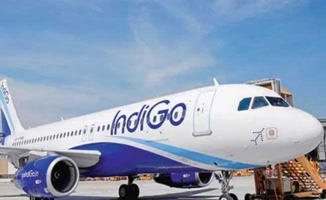Drunk Flyer Molests IndiGo Air Hostess Assaults Co Passenger - Sakshi