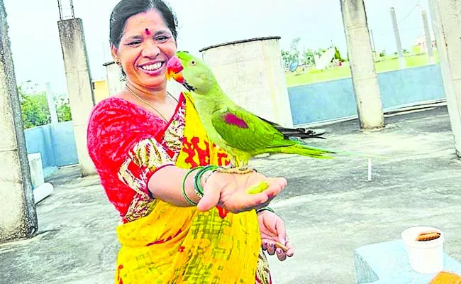 A parrot entertaining with sweet words - Sakshi