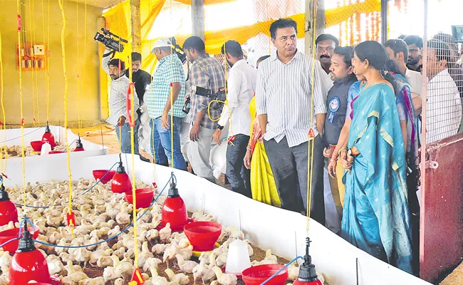 Telangana Minister KTR Sircilla Says Creating Wealth Creating Distributing - Sakshi