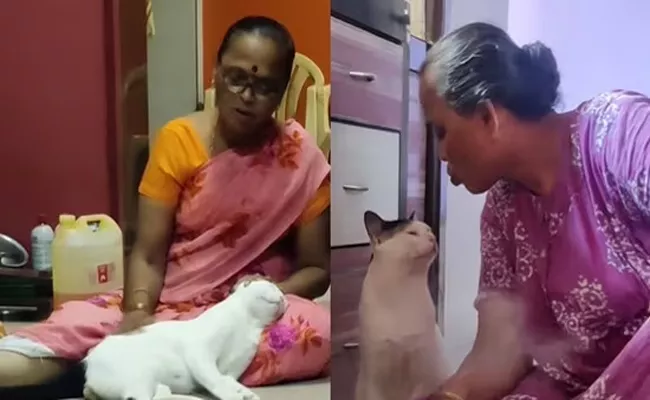 Elderly Woman Bond With Her Cat Is Pure Gold - Sakshi