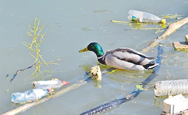 Environment: Needs To Focus On Reduce Plastic Waste - Sakshi