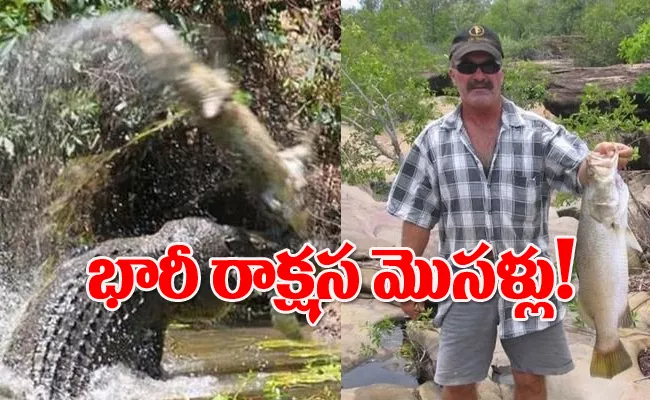 Australia Missing Fisherman Body Found Inside Crocodile Viral News - Sakshi